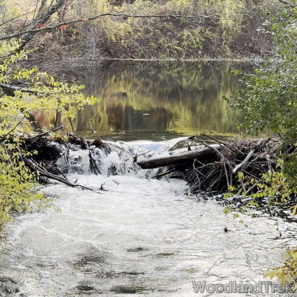 2025-10-26_144848_00