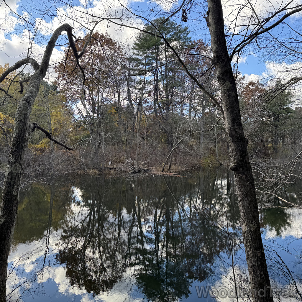 2025-10-26_145203_00