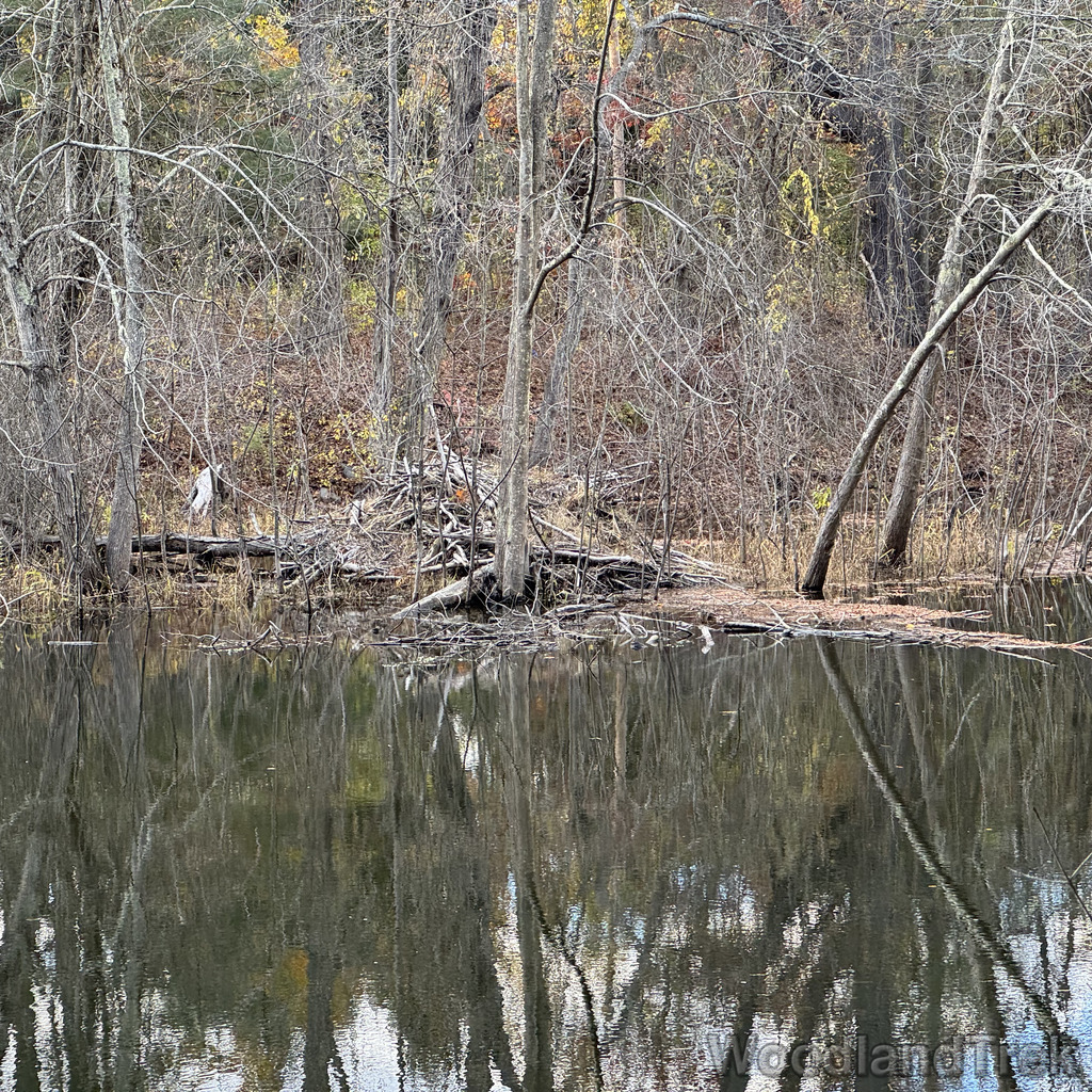 2025-10-26_145209_00