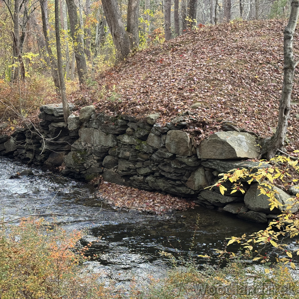 2025-10-26_145331_00