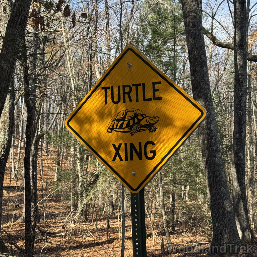 2025-11-02_100318_00