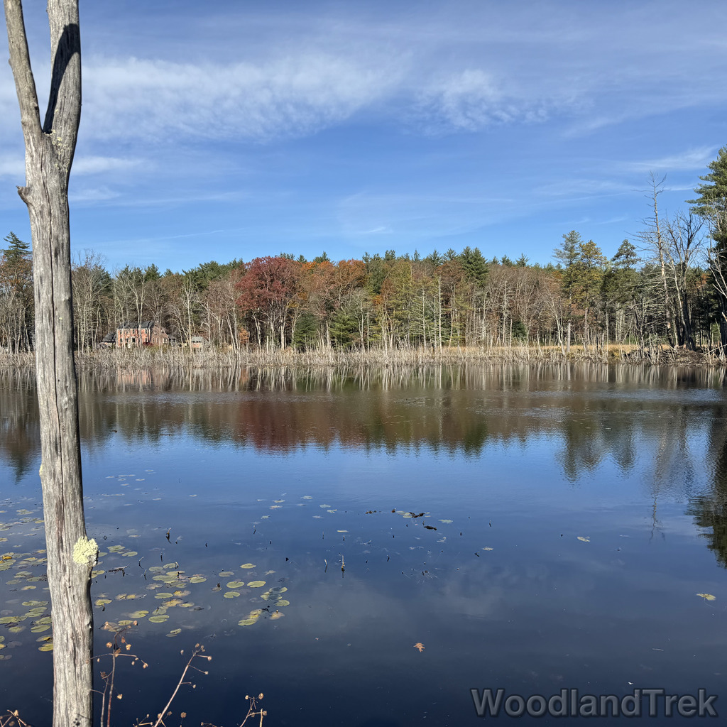 2025-11-02_100603_00