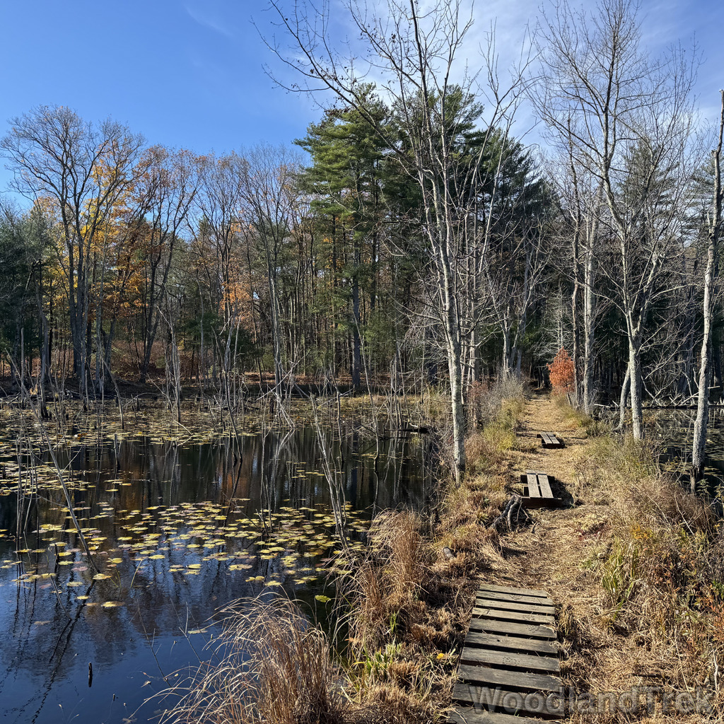 2025-11-02_100609_00