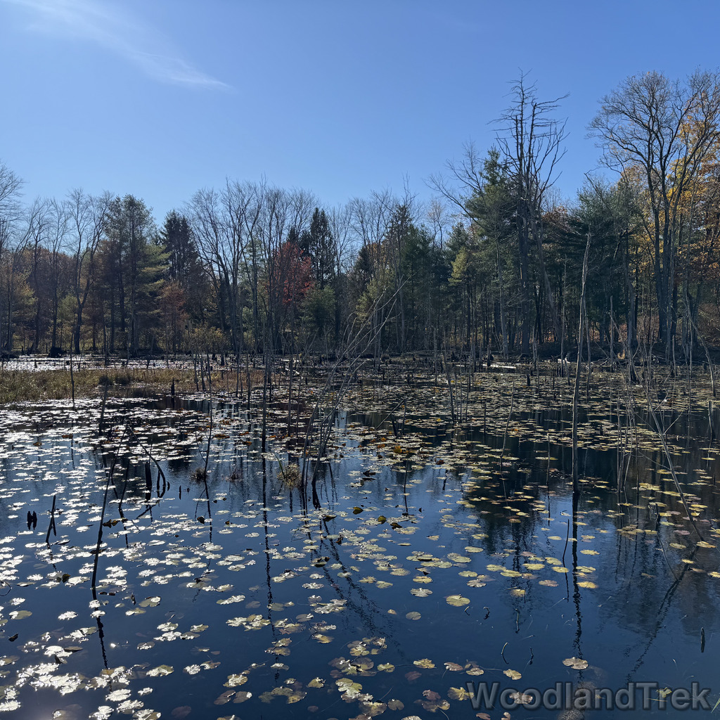 2025-11-02_100615_00