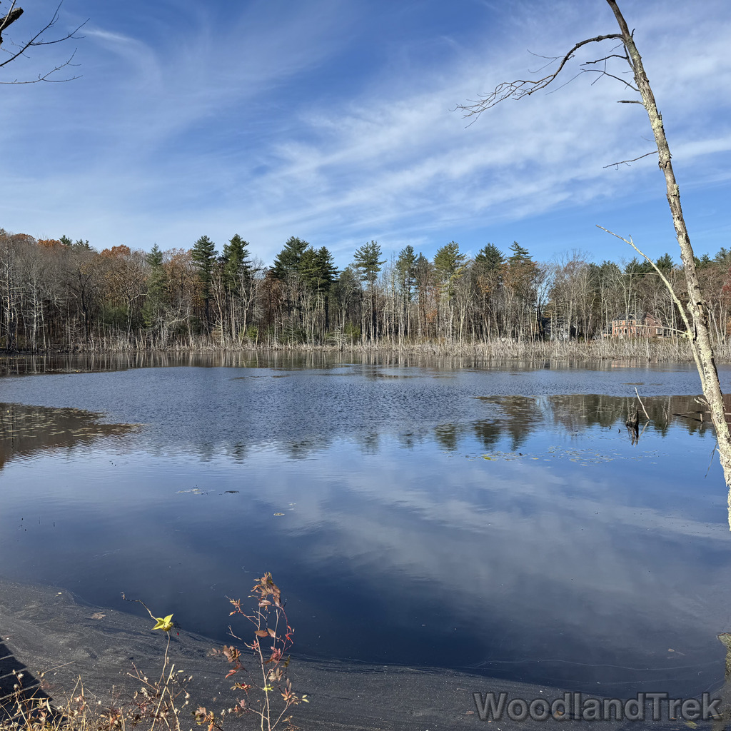 2025-11-02_100700_00