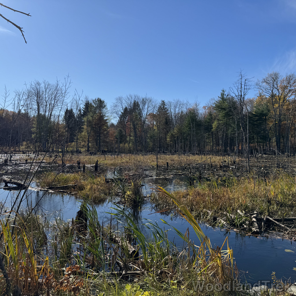 2025-11-02_100707_00