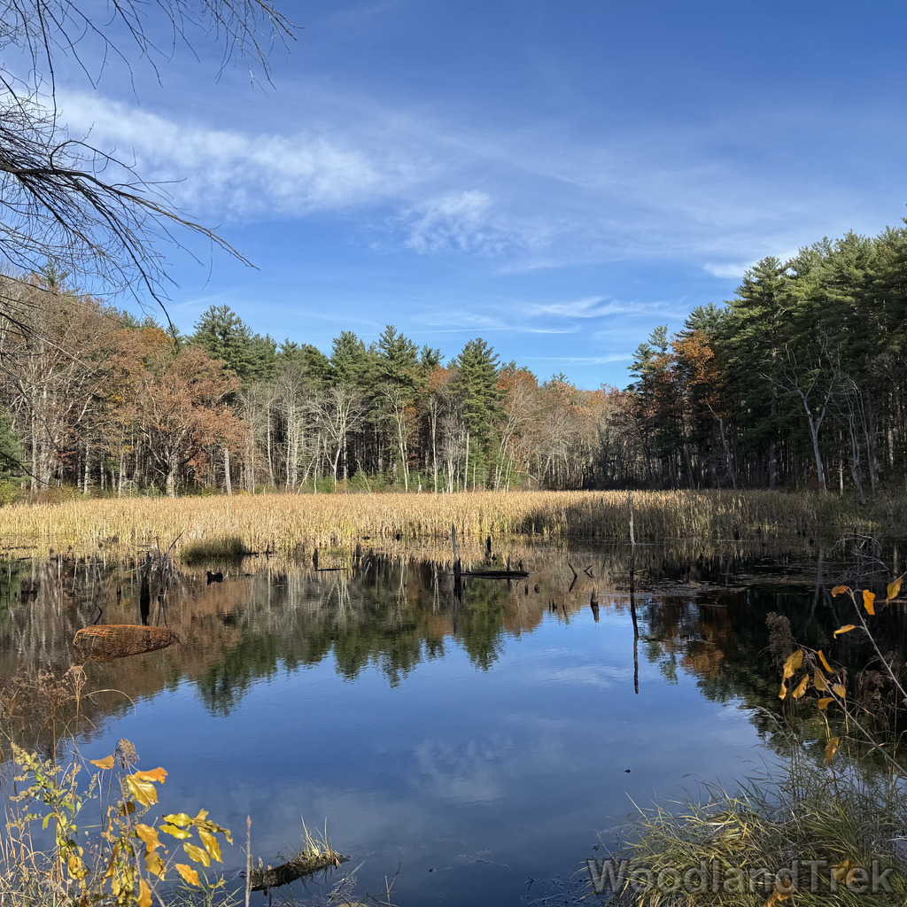 2025-11-02_101021_00