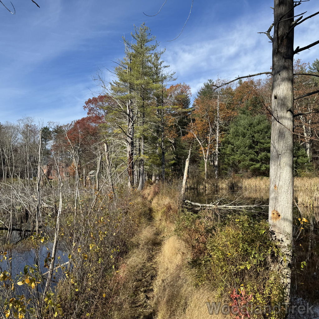 2025-11-02_101043_00