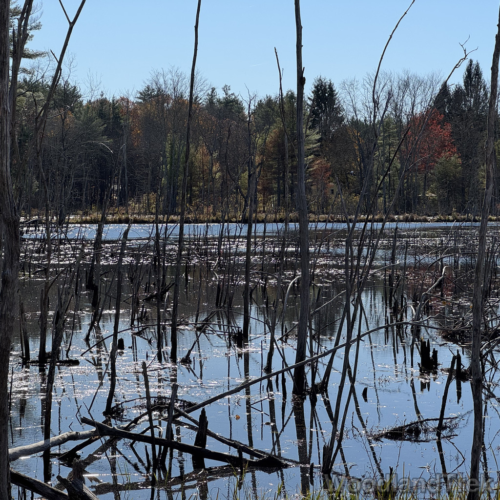 2025-11-02_101119_00