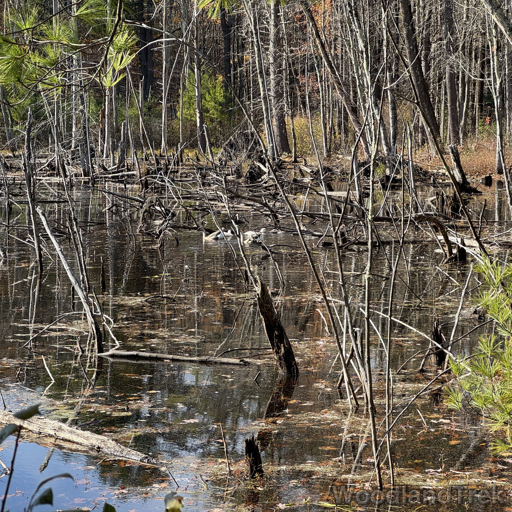 2025-11-02_101225_00