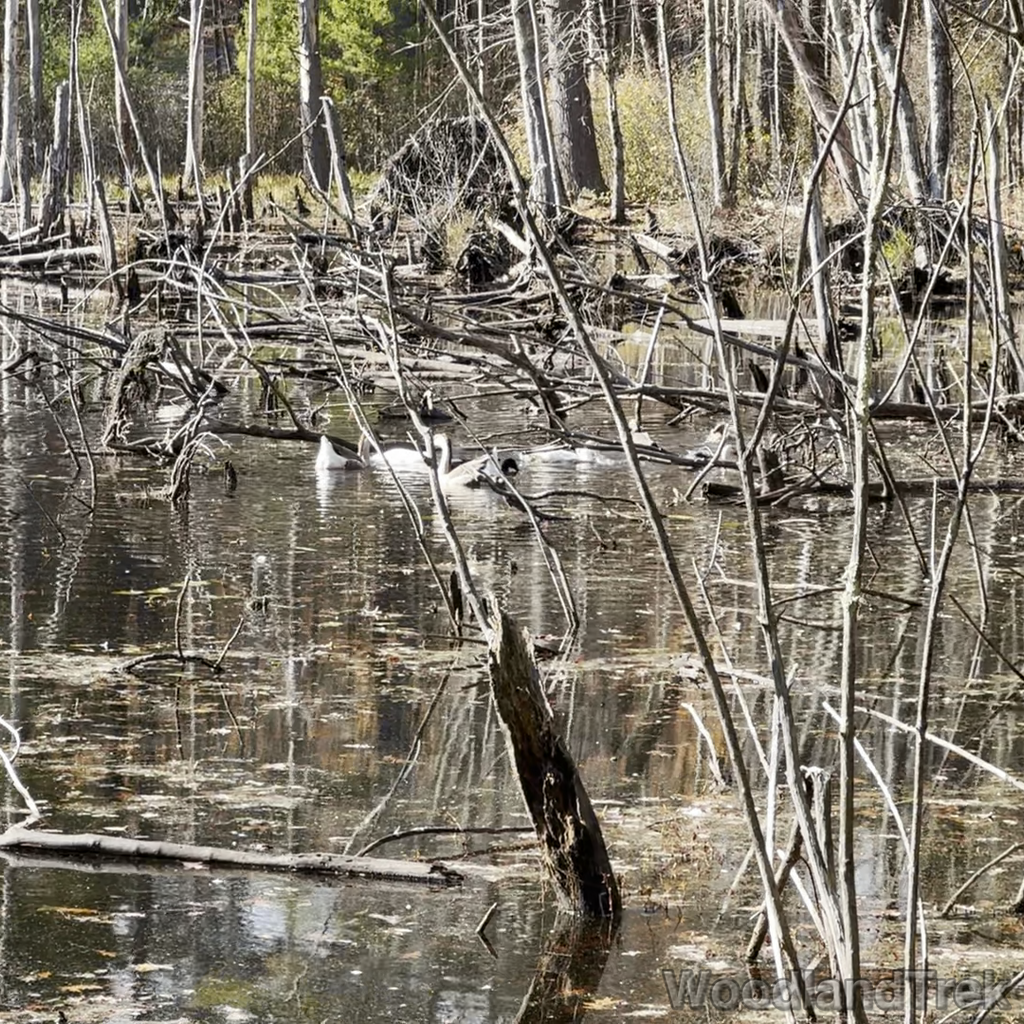 2025-11-02_101228_00