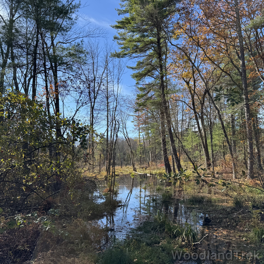 2025-11-02_105528_00