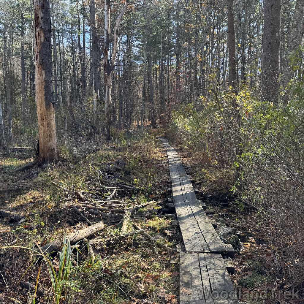 2025-11-02_105548_00