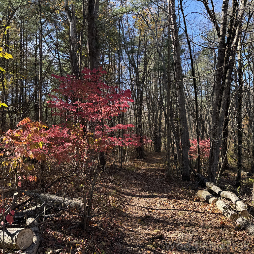 2025-11-02_111318_00