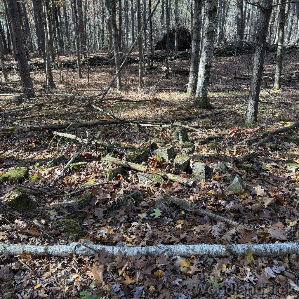 2025-11-02_112047_00