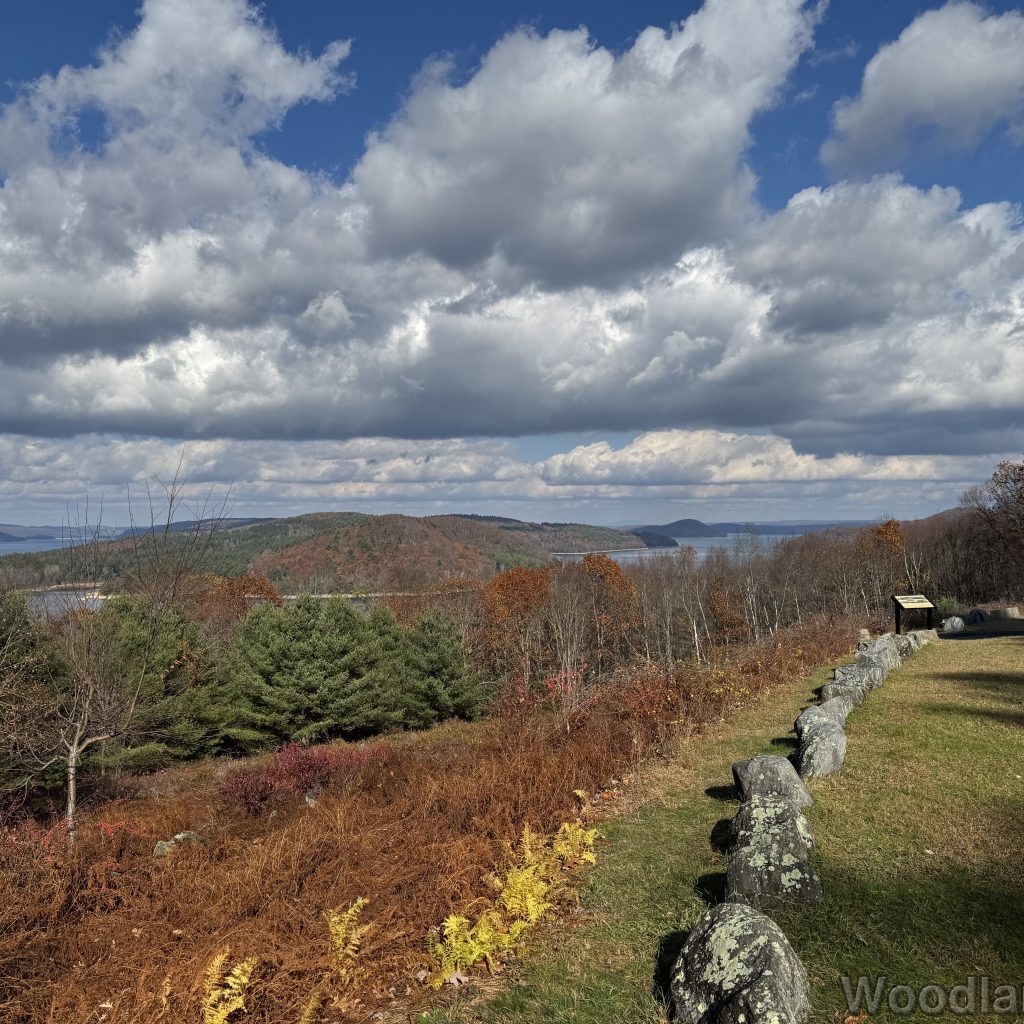 2025-11-08_113315_00