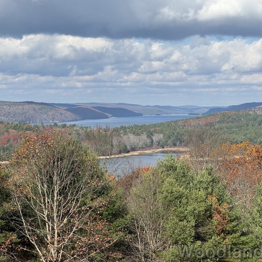 2025-11-08_113331_00