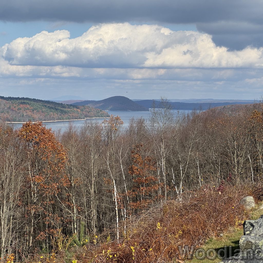 2025-11-08_113338_00