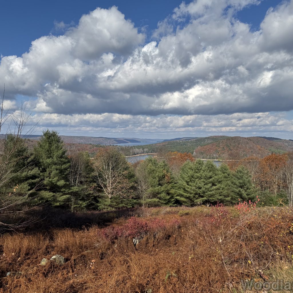 2025-11-08_113345_00