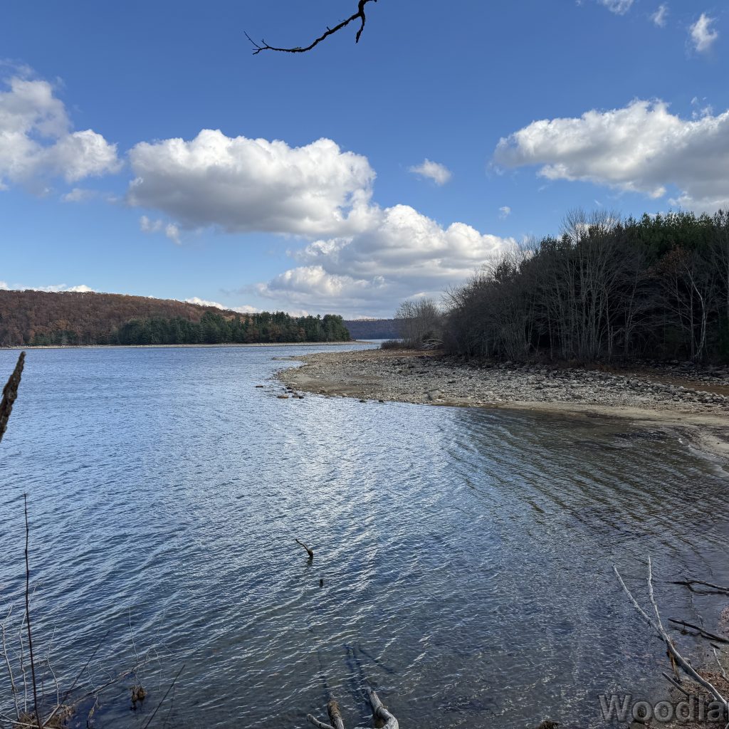 2025-11-08_120544_00