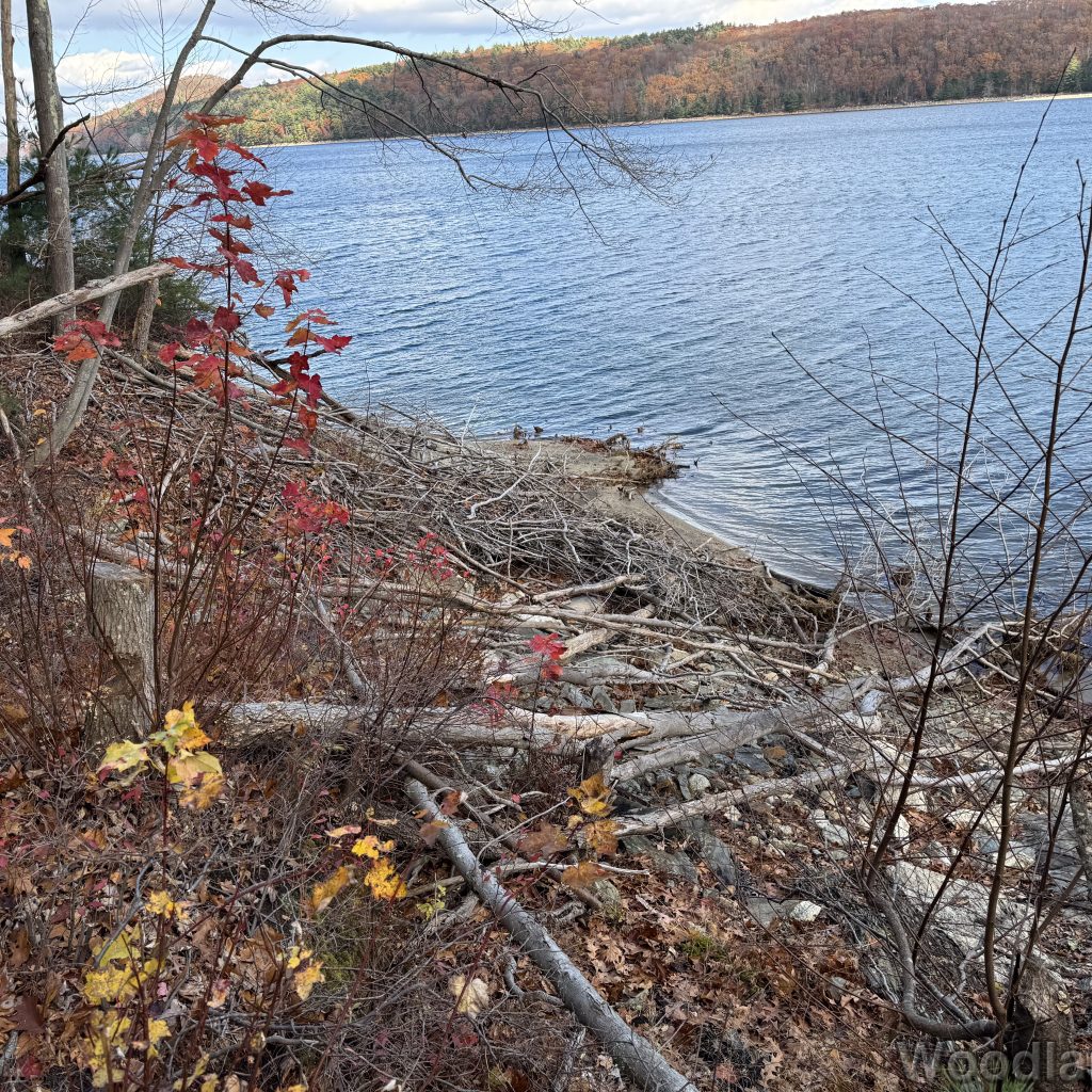 2025-11-08_120554_00