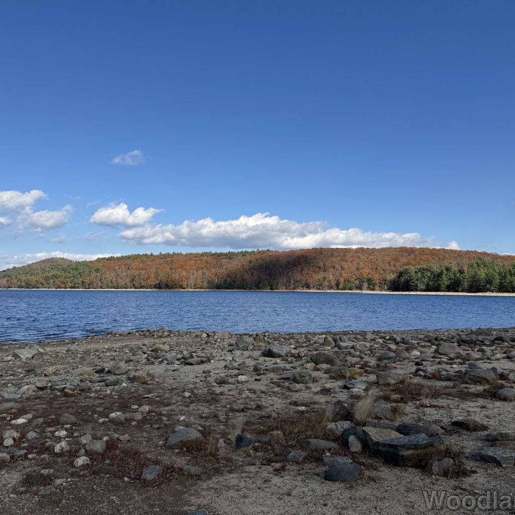 2025-11-08_121312_00