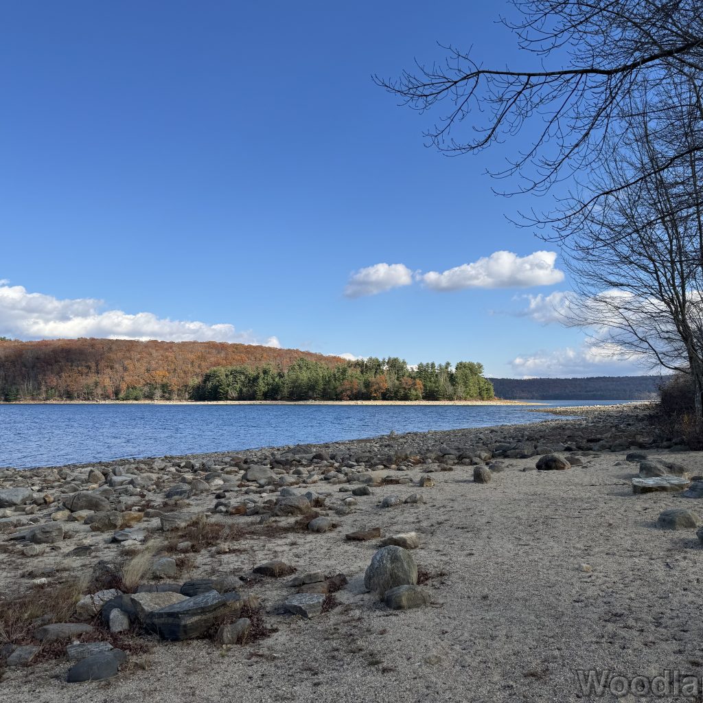 2025-11-08_121313_00