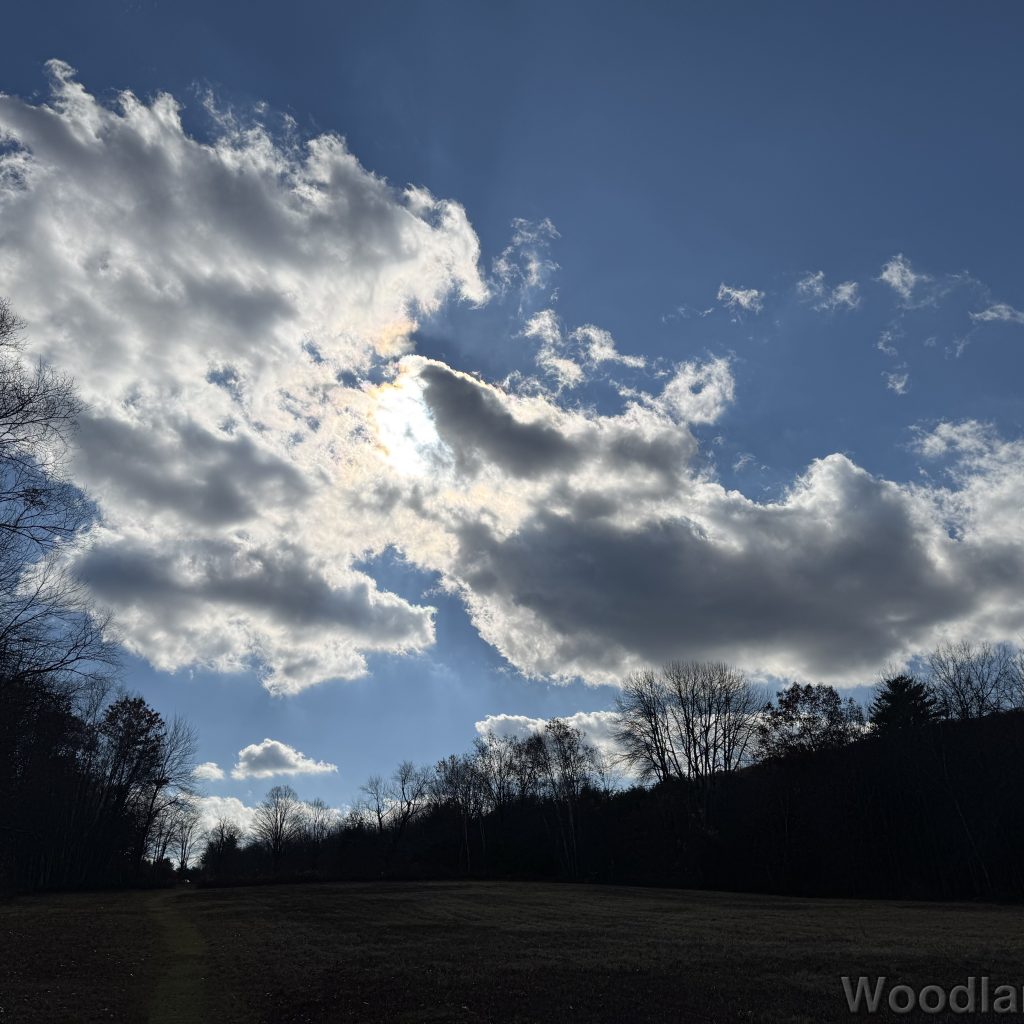 2025-11-08_121511_00