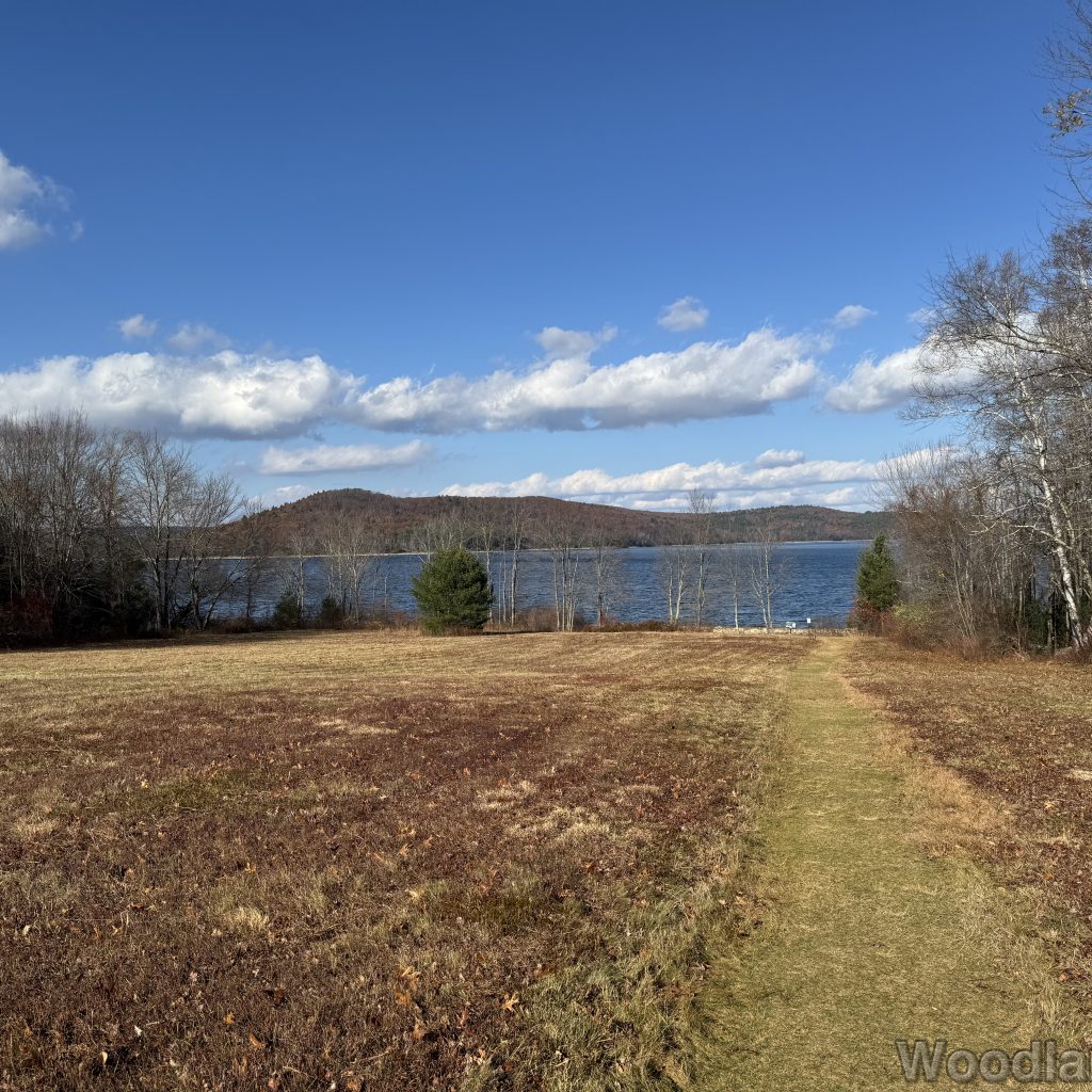 2025-11-08_121633_00