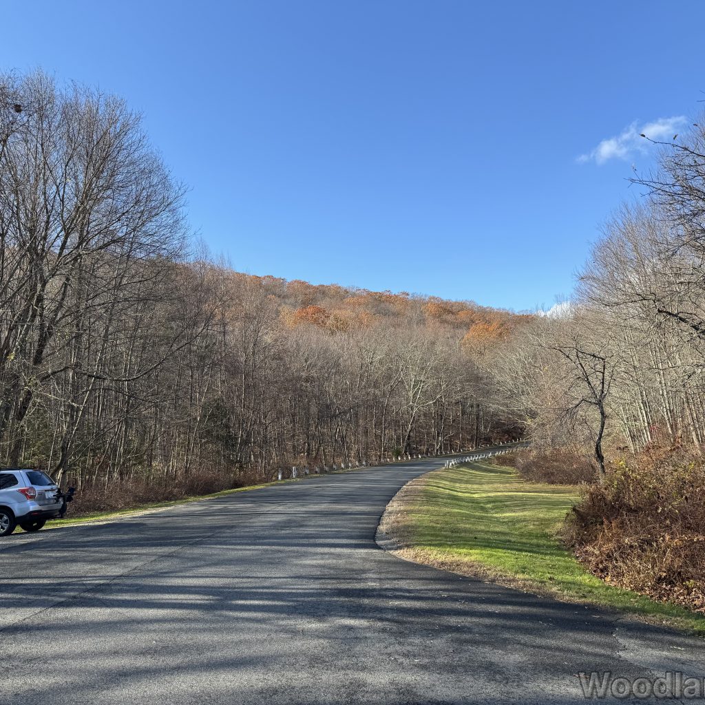 2025-11-08_122900_00