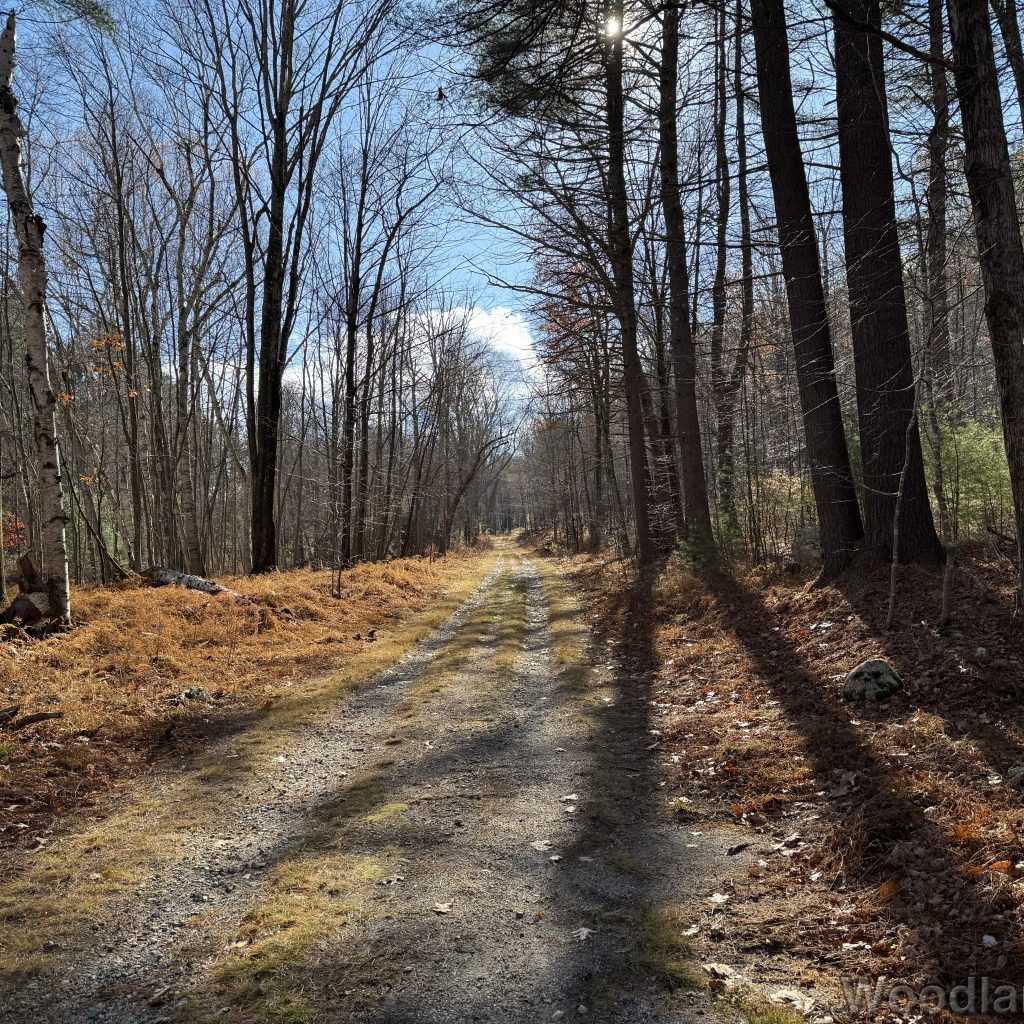 2025-11-08_123213_00