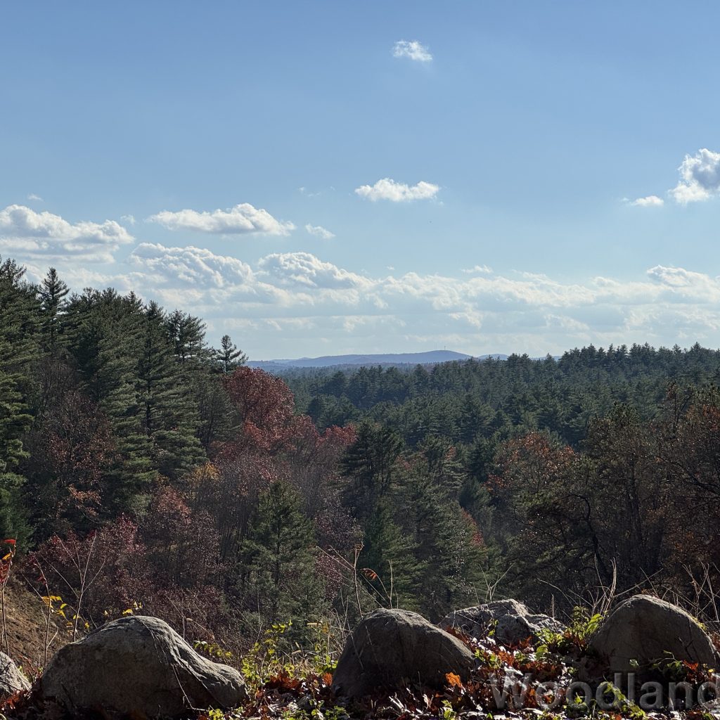 2025-11-08_131301_00