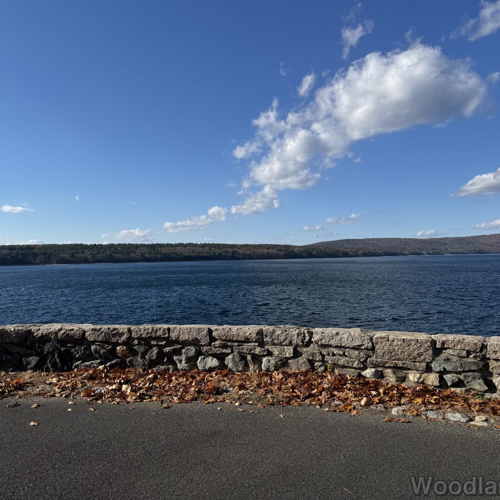 2025-11-08_131513_00