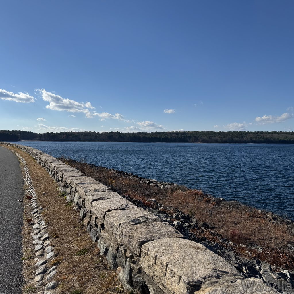 2025-11-08_131623_00