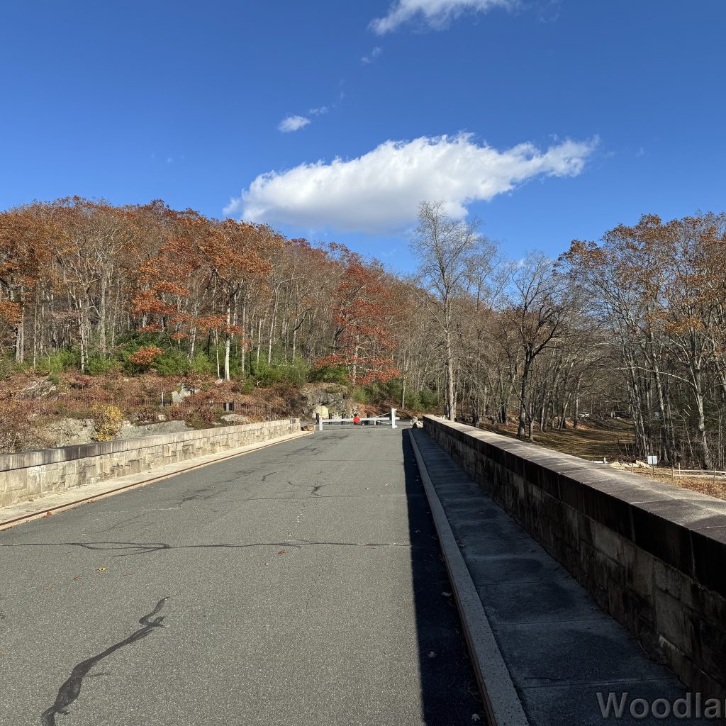 2025-11-08_134916_00