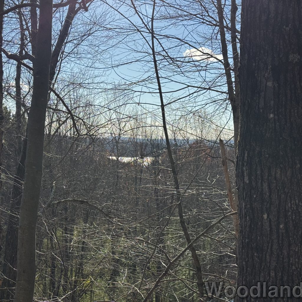 2025-11-08_142017_00