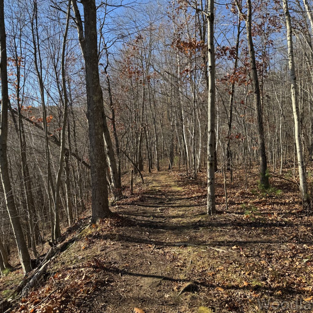 2025-11-08_142023_00