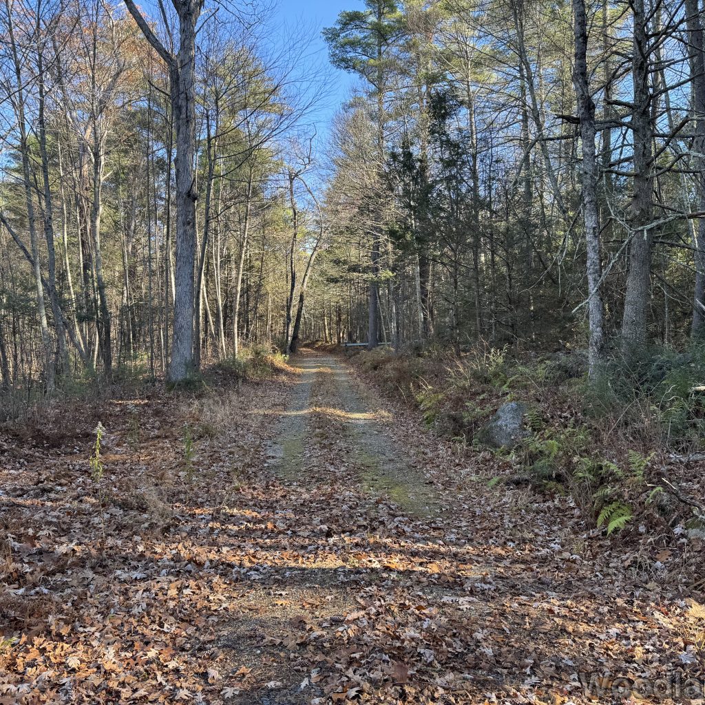 2025-11-15_101045_00