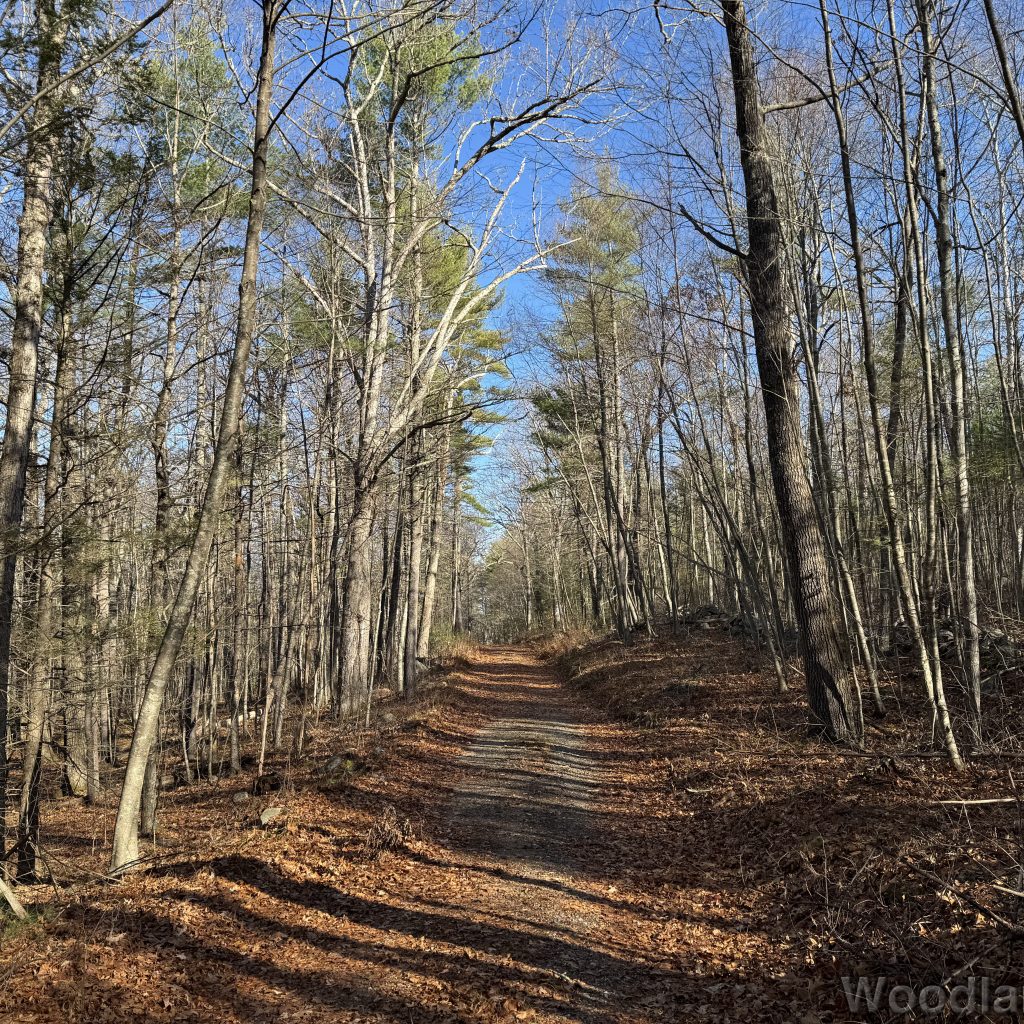 2025-11-15_101514_00