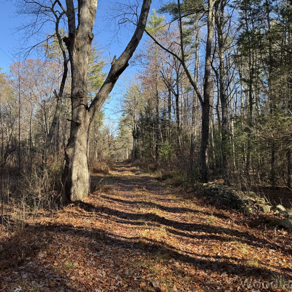 2025-11-15_101851_00