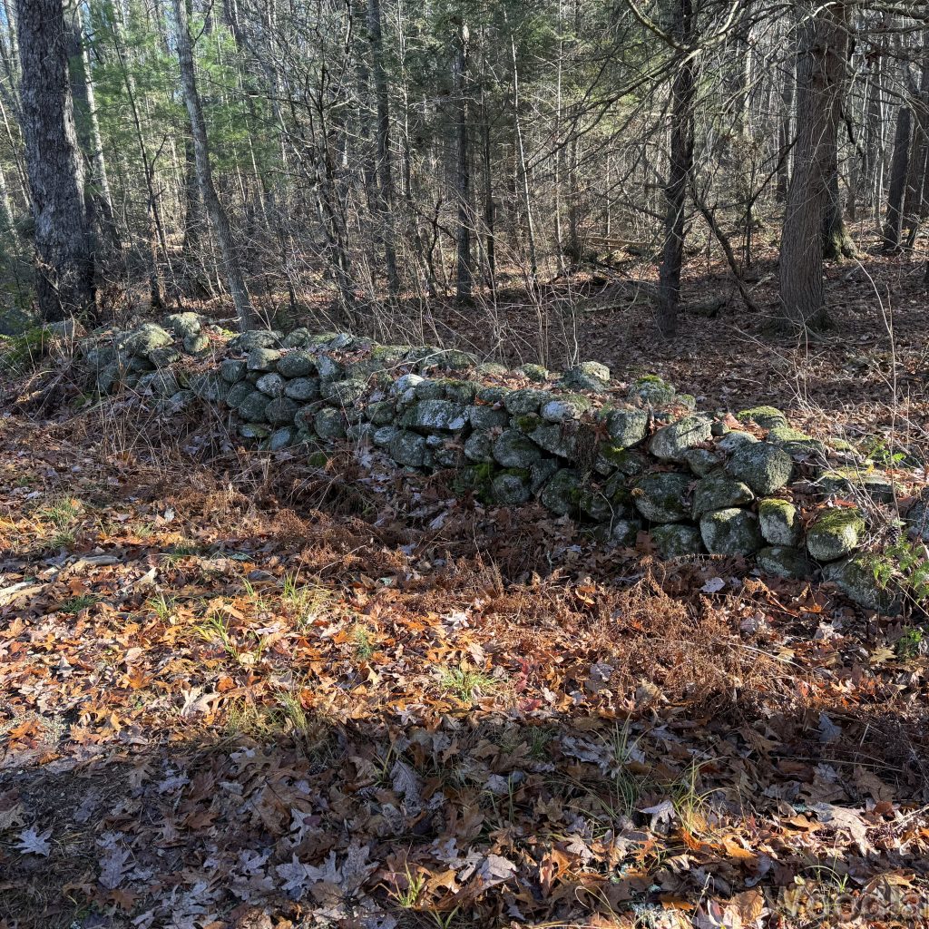 2025-11-15_101904_00