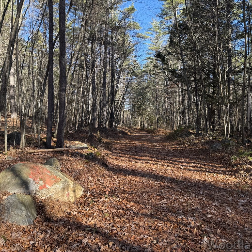 2025-11-15_102446_00