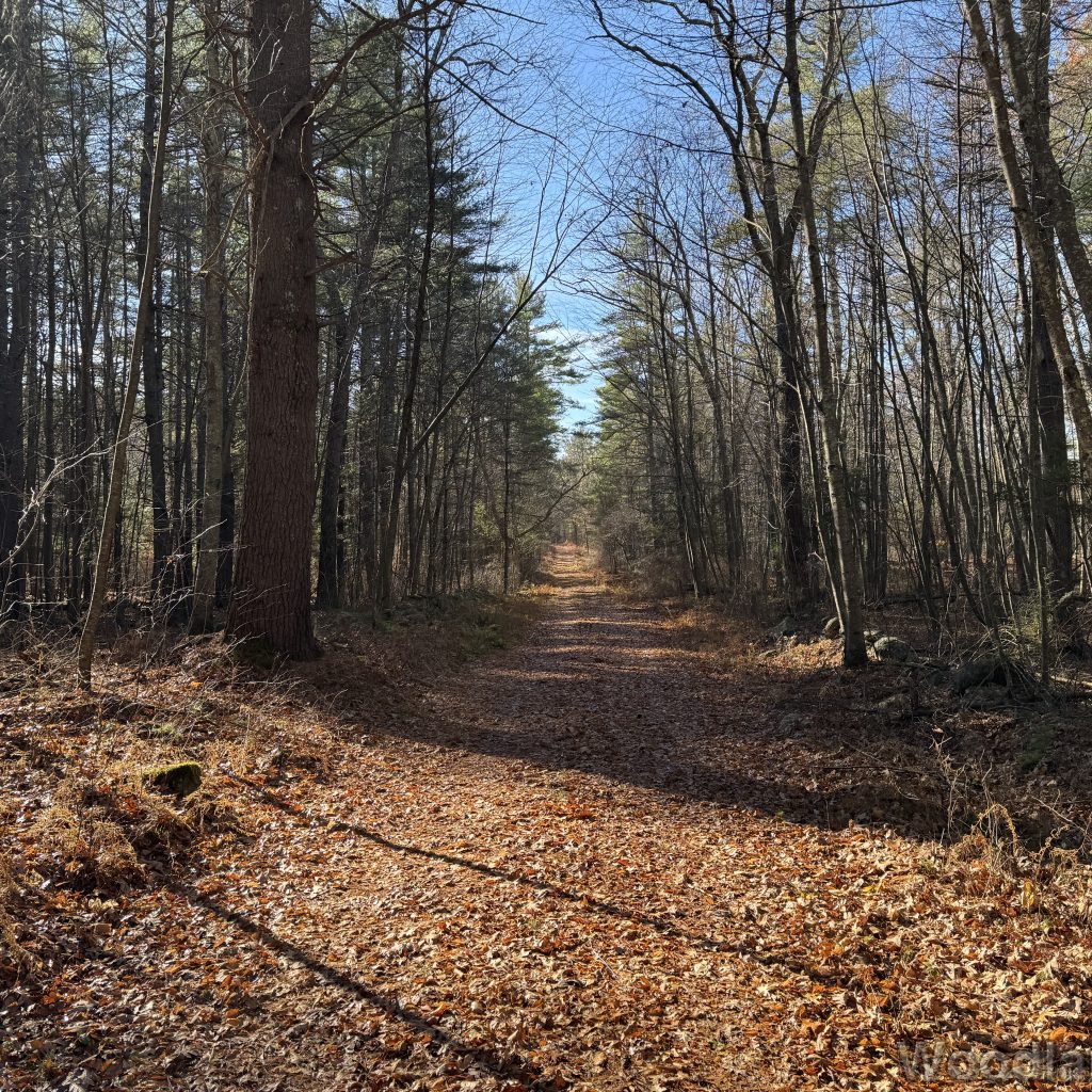 2025-11-15_102456_00