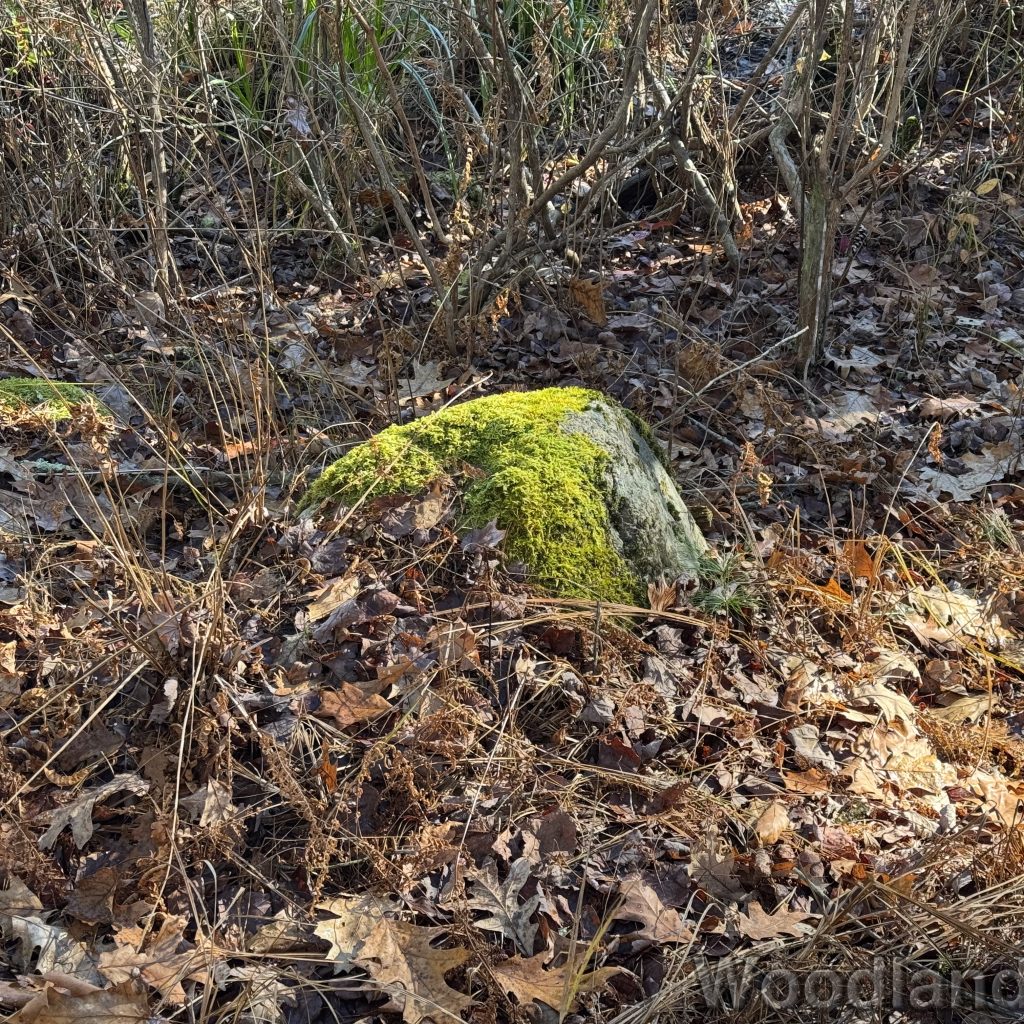 2025-11-15_103025_00