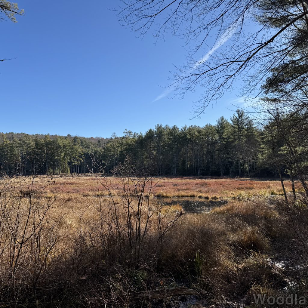 2025-11-15_103040_00