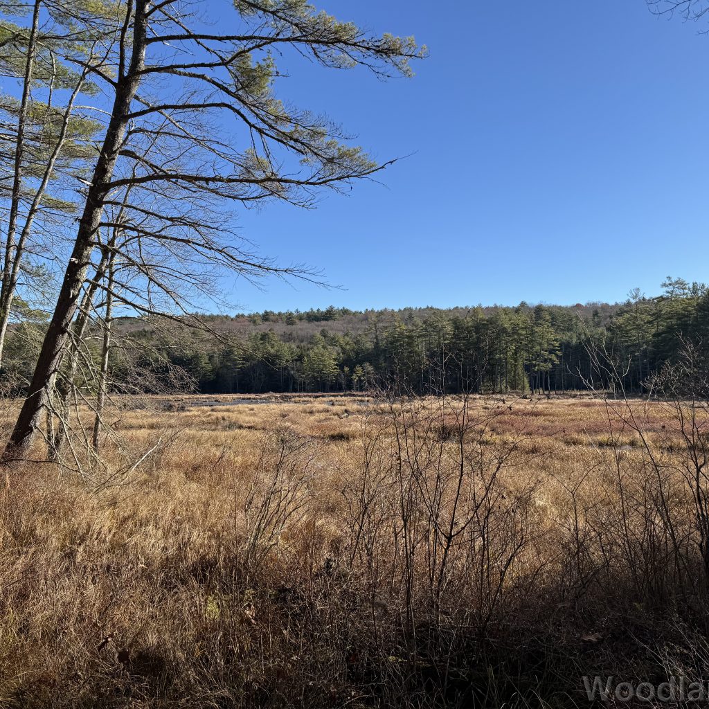 2025-11-15_103043_00