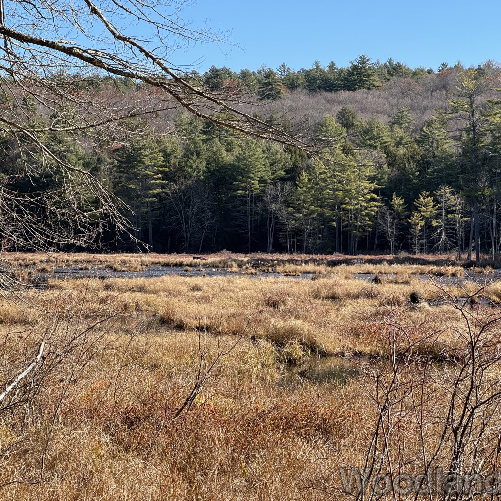 2025-11-15_103054_00