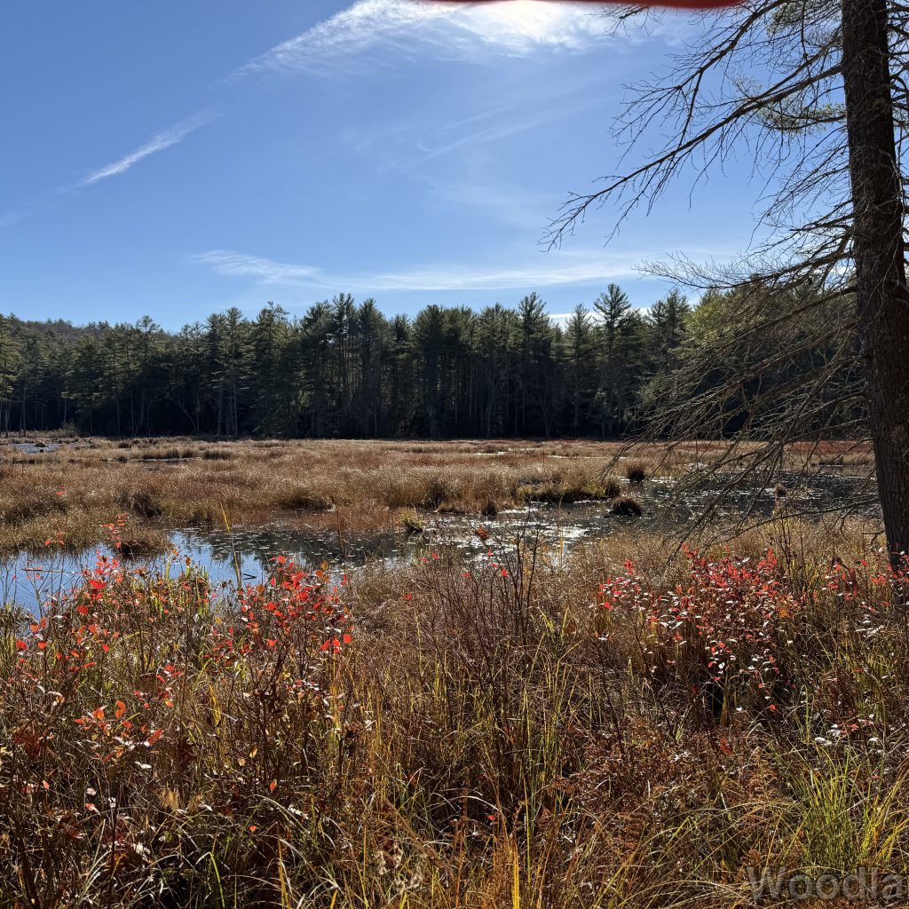 2025-11-15_103427_00