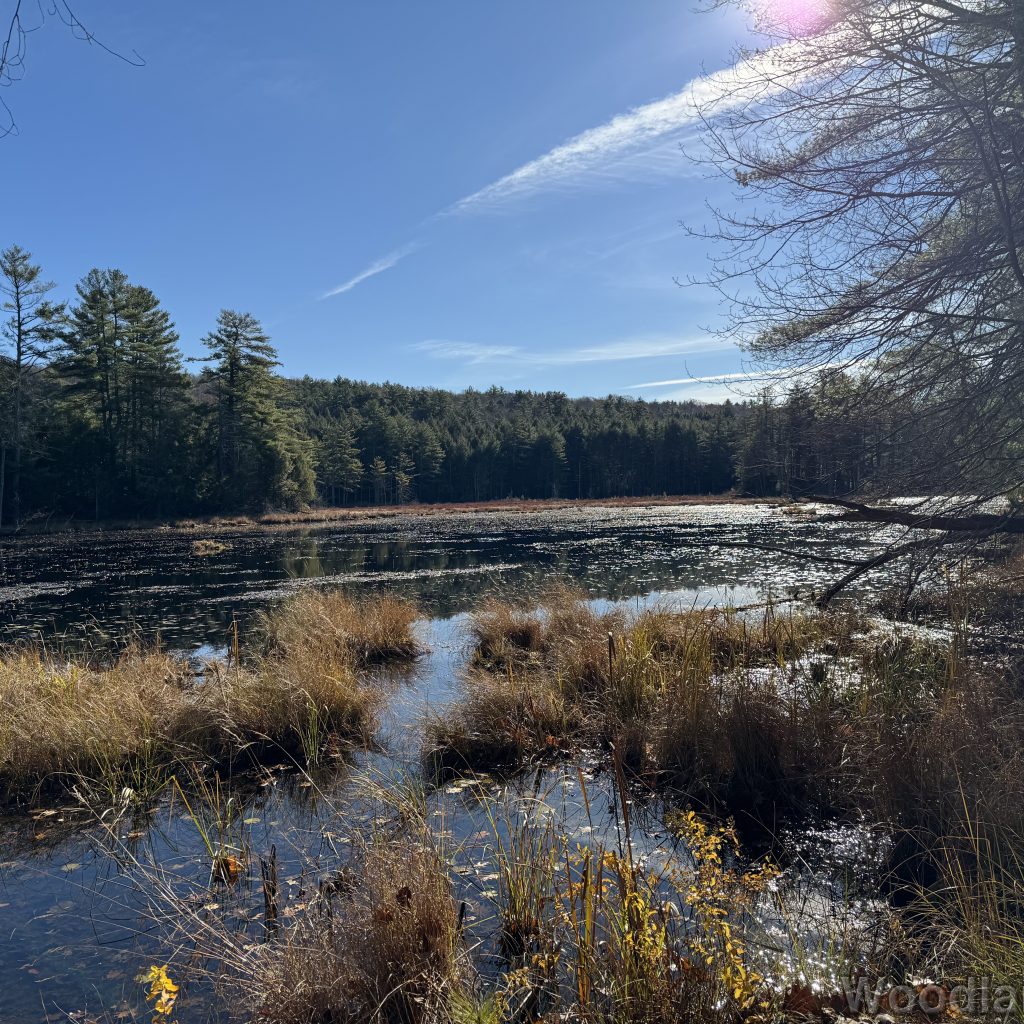 2025-11-15_103800_00