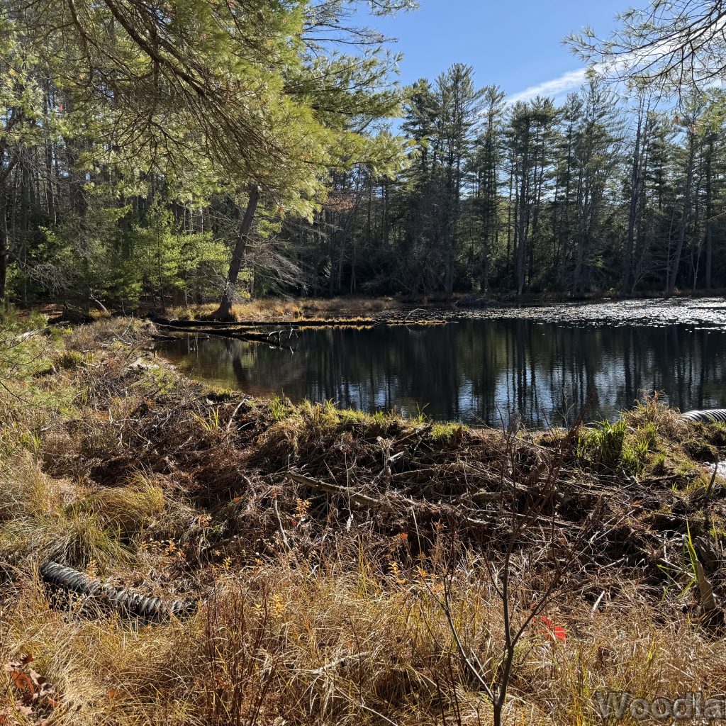 2025-11-15_104235_00